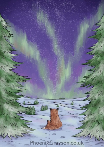 Northern_Lights_Edge_of_The_Forest_Illustration