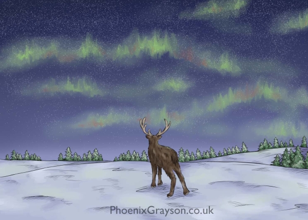 Northern_Lights_Reindeer_Redraw